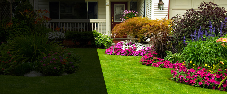 Licking Landscapers